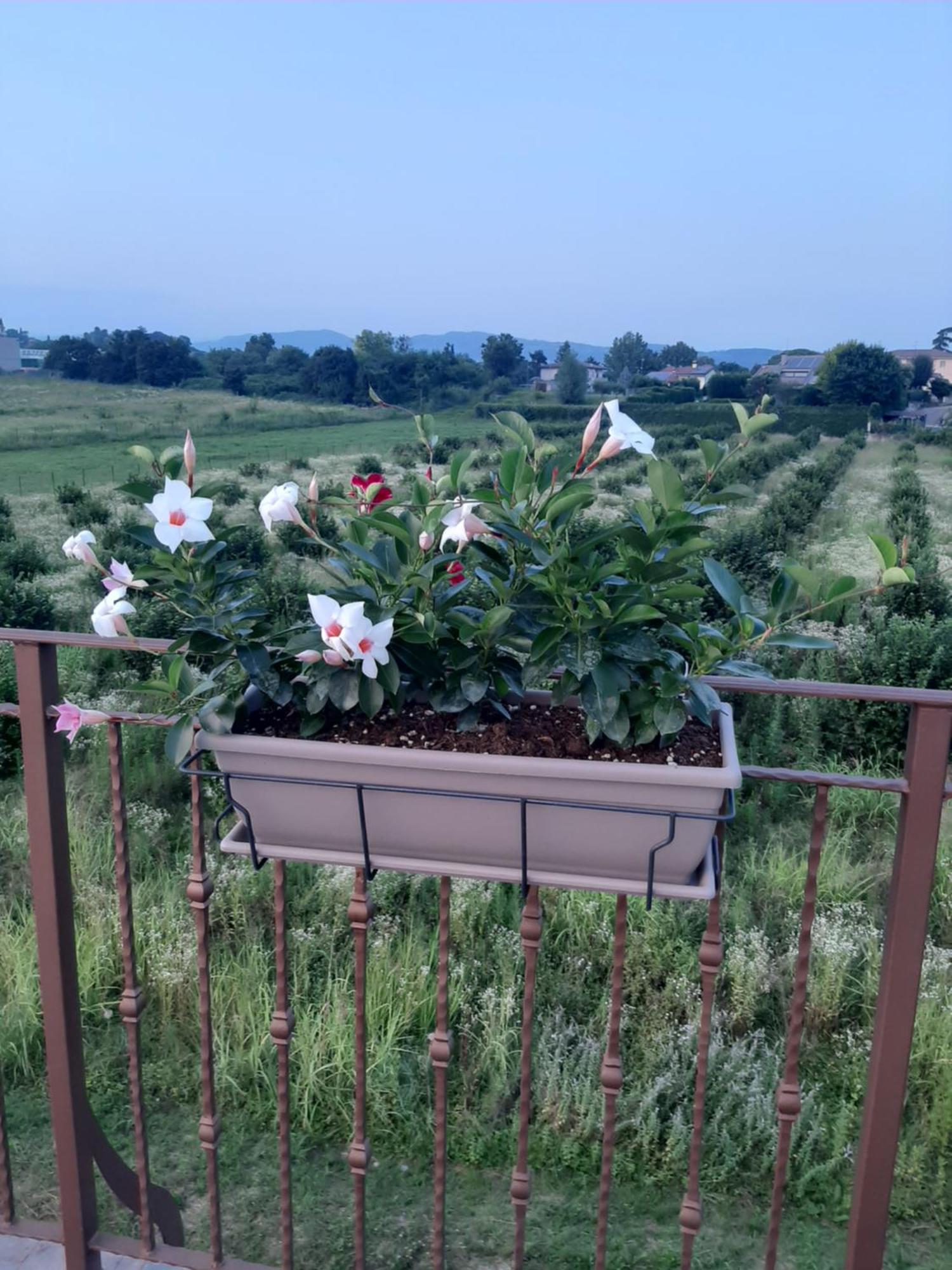 Bed And Breakfast Ca Tognella Pescantina Extérieur photo